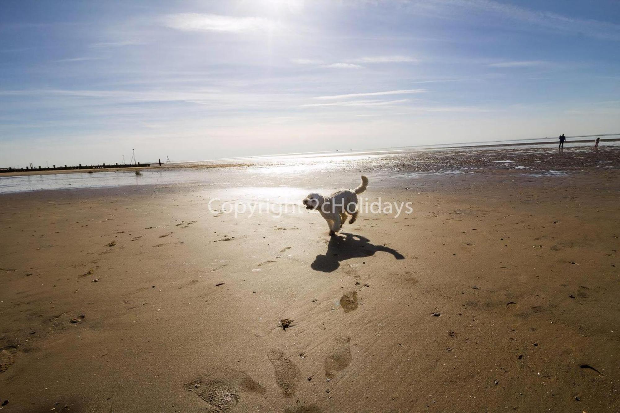 5 Berth Dog Friendly Lodge In Hunstanton By The Beach Ref 13015Rn Bagian luar foto